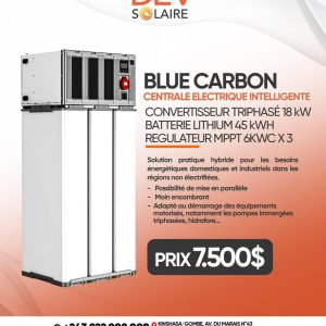 Blue Carbon – Centrale Électrique Intelligente