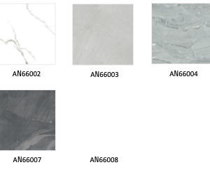 Carrelage sol 60×60 mat antidérapant