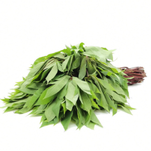 Feuille de Manioc (Pondu )