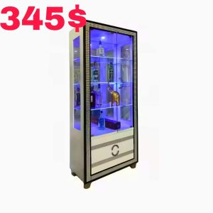 Vitrine Bibliothèque à deux portes